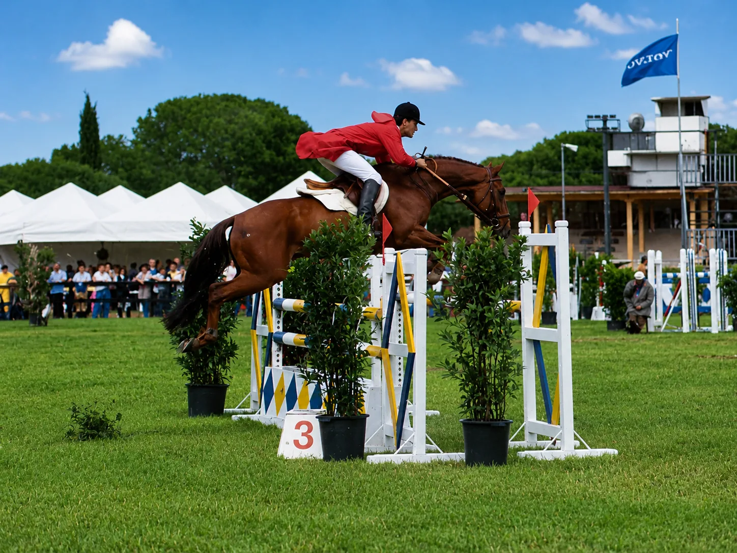 Sport equestre, salto ostacoli
